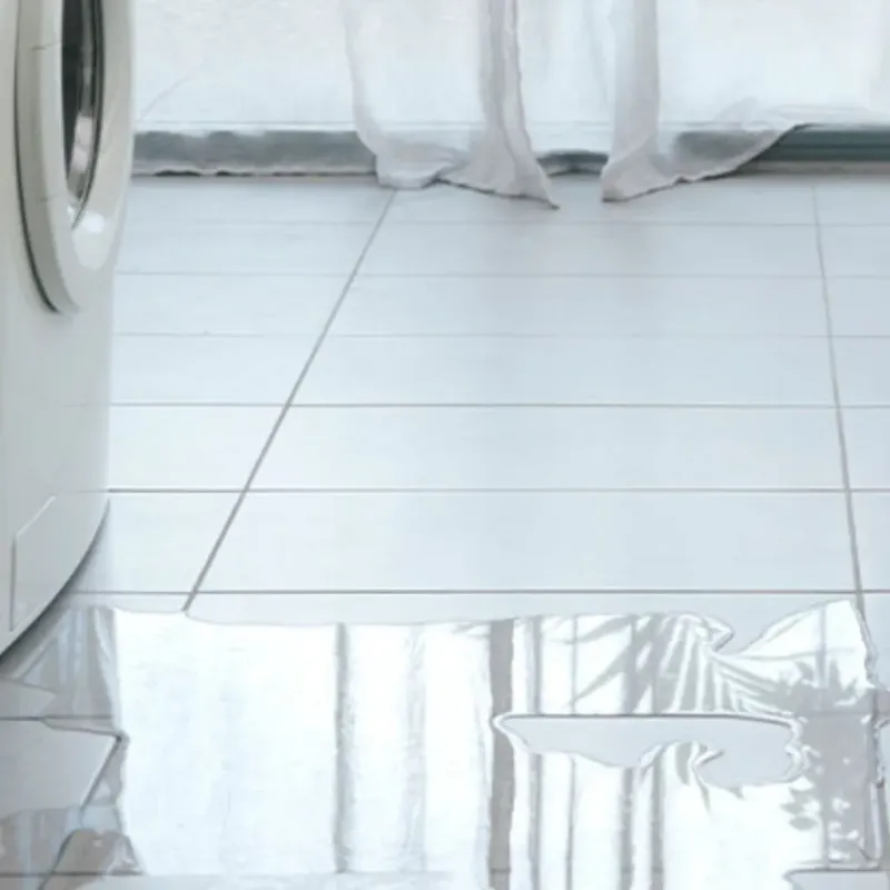Appliance Leak Cleanup in Clarendon, TX