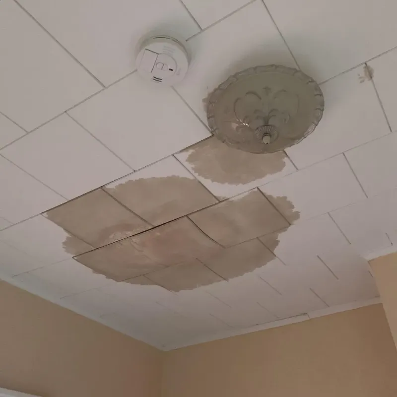 Ceiling Water Damage Repair in Clarendon, TX