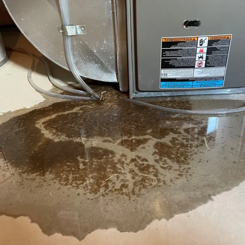 Pipe Burst and Leak Restoration in Clarendon, TX